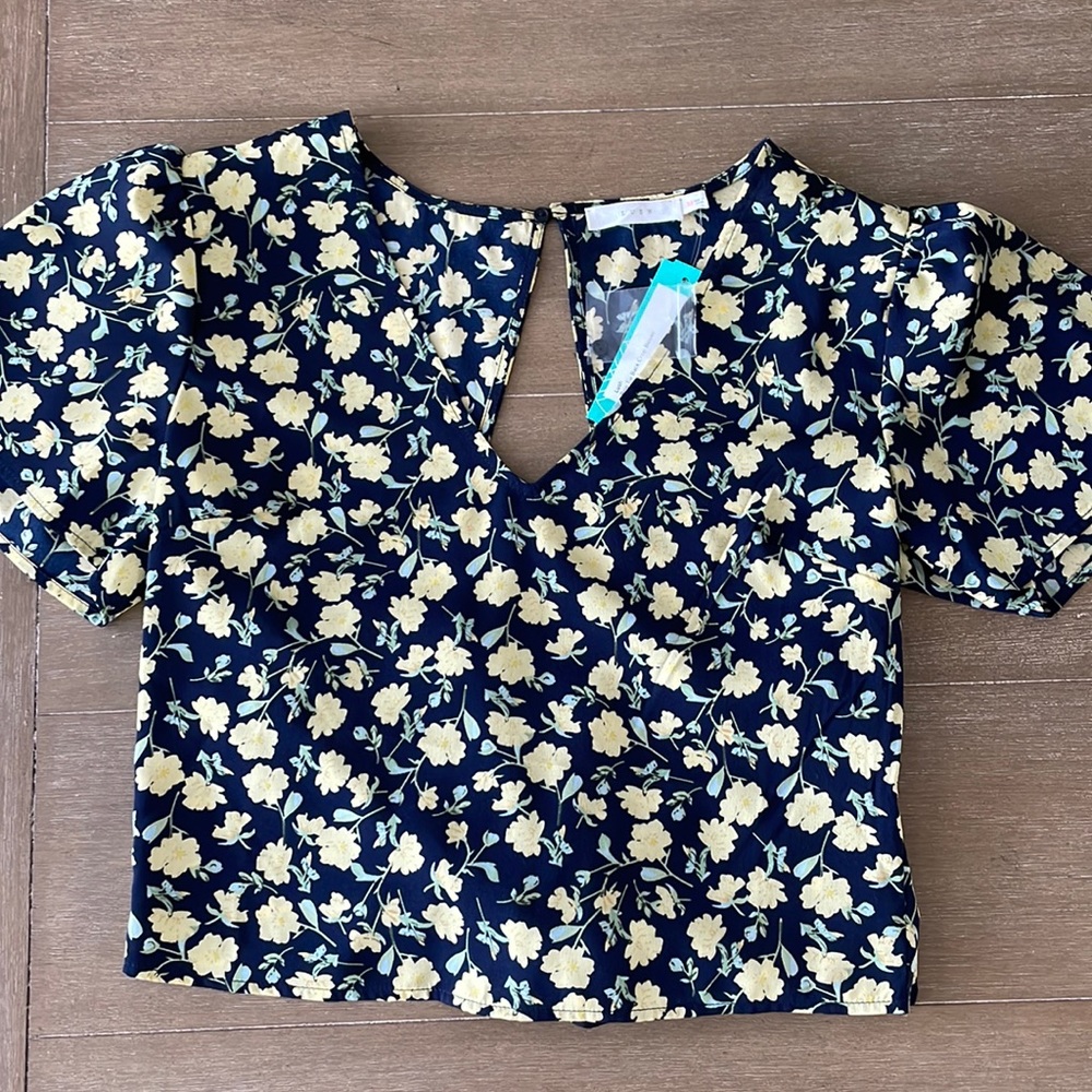 Lush Brie Tie Back Crop Top